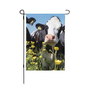 SKU-02-Black White Cows